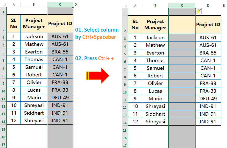 Insert columns by Ctrl++